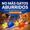 Pelota inteligente PurrChase™